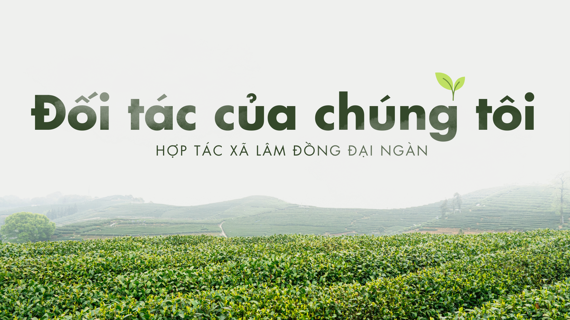 Đối tác 2