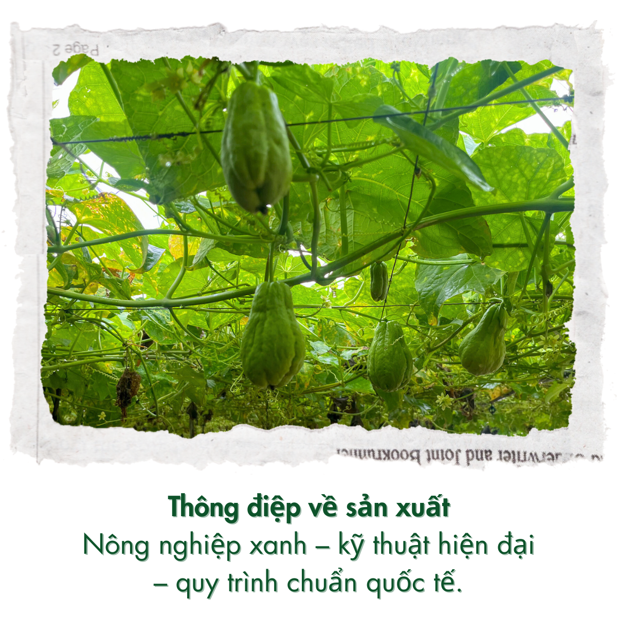 Phát triển cộng đồng
